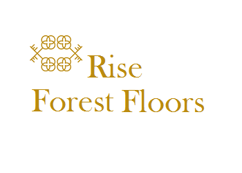 Rise Forest Floors